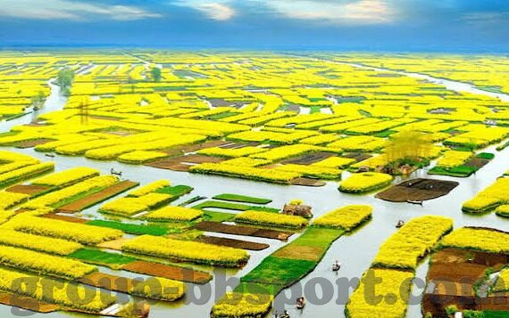开云app官网下载安装-下载开云app的便捷之道，从官网获取安全与可靠