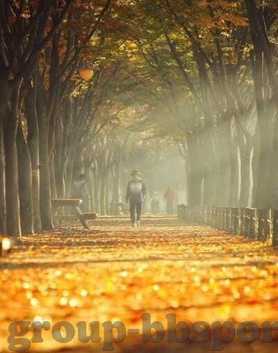 世界杯历史多进球局-世界杯历史多进球局，激情与荣耀的见证