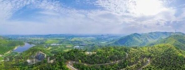 世界杯日本五号球员-日本足球的璀璨之星，聚焦世界杯日本五号球员