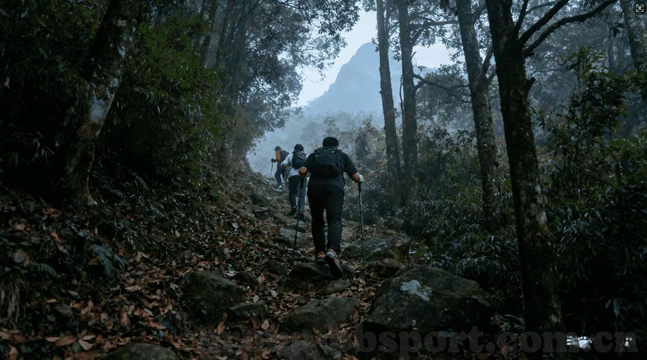 游乐场水果机中奖音乐-游乐场里的奇妙之旅，水果机与中奖音乐的魔力